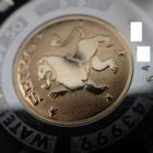 コインのアップ写真、金色の表面にウサギと文字が刻印された日本の記念硬貨.