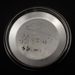 ROLEX OYSTER PERPETUAL DATE ロレックス オイスターパーペチュアル デイト グレー シグマダイヤル Ref.1500  1973年
