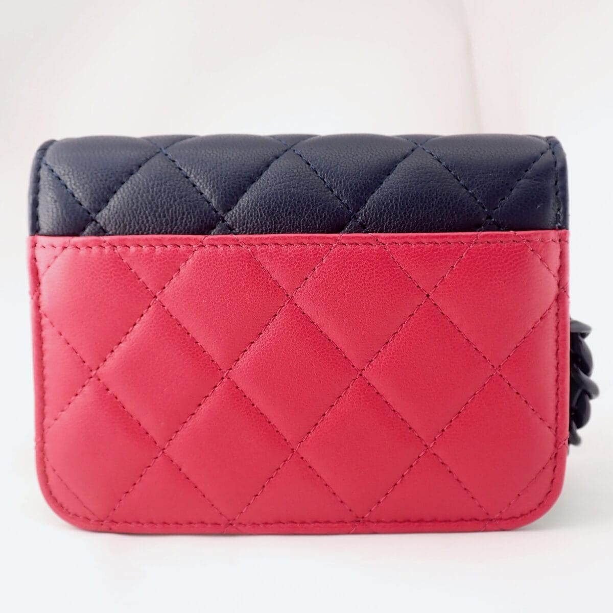 CHANEL チェーンバッグ バイカラー 2023年春夏 プレコレクション 未使用品