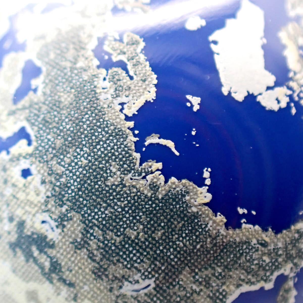 WN-1 アースウォッチ 北半球　223-11615