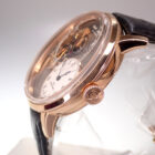 アーノルド＆サン Arnold & Son インストゥルメント コレクション DSTB 世界限定50本 1ATAR.L01A.C120A 日本国内正規品