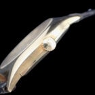 06 ROLEX Cellini18K ロレックス チェリーニ 3800 手巻き 18Kゴールド Cal.1600 レディース