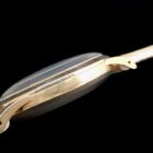 08 IWC Vintage Round 18K Solid Gold Cal.853 アイダブリューシー ヴィンテージ ラウンド 18金イエローゴールド オートマチック Cal.853 1959年